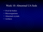 PowerPoint Presentation - Week 10: Abnormal UA Seds