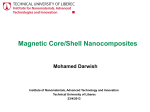 Preparation of magnetic polyvinylbenzyl chloride nanoparticles