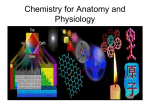 Chemistry for Anatomy and Physiology