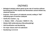 ENZYMES - Rihs.com.pk