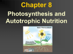 Photosynthesis