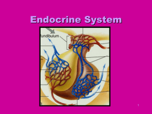 8Aldosterone 8Na + secretion 8 H 2 O reabsorption9 urine volume