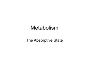 Metabolism