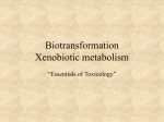 Biotransformation Xenobiotic metabolism