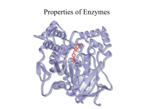 Properties of Enzymes