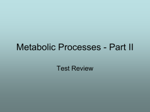 Metabolic Processes