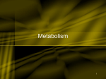 Metabolism