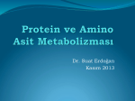 Protein ve amino asit metabolizması_School of Nursing