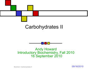 Enzyme Properties