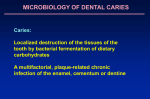 Microbiology of Caries