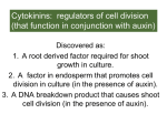 Cytokinin Lecture