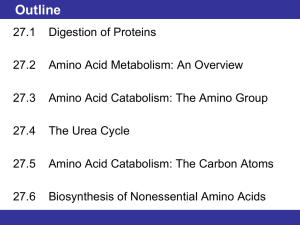Essential amino acid