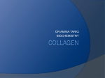COLLAGEN - Rihs.com.pk