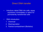 Genetic engineering 2 - web.biosci.utexas.edu