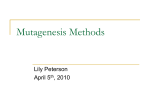Apr. 5 Presentation Mutagenesis Methods