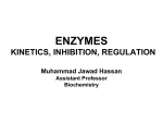 Enzyme Kinetics