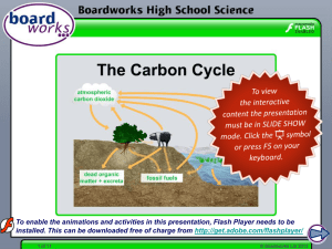 The Carbon Cycle