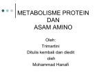 METB. PROTEIN DAN ASAM AMINO