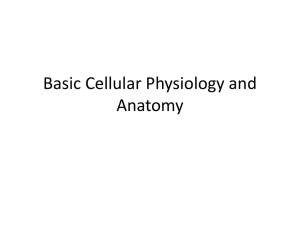 Basic cellular physiology and anatomy, general