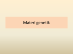 Materi genetik - WordPress.com