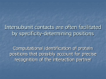 Intersubunit contacts are often facilitated by specificity