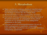 3. Metabolism - Professor Monzir Abdel