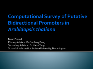 Computational Survey of Putative Bidirectional Promoters