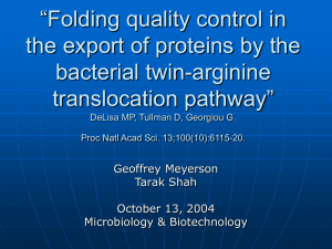 Folding quality control in the export of proteins by the