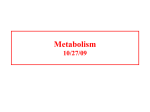 Carbohydrate and sugar structure