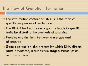 video slide - Biology at Mott