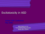 Excitotoxicity in ASD