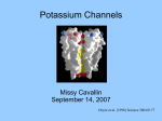 Missy Cavallin September 14, 2007