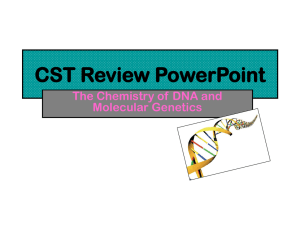 CST Review PowerPoint