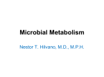 Metabolism, Glycolysis, & Fermentation