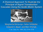 A Chemical Approach To Illustrate the Principal of Signal