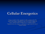 Unit 1 - Cells: The Functional Unit of Life