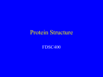 Protein Structure - Information technology