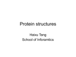 Protein structures - Informatics: Indiana University