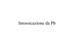 Intossicazione da Pb