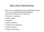 Microbial Metabolism