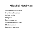 Microbial Metabolism