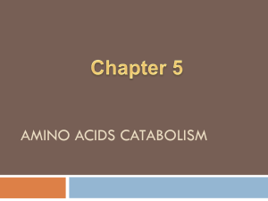 Amino acids catabolism