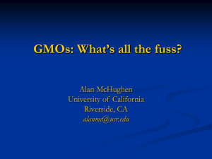 GMOs: What’s all the fuss?