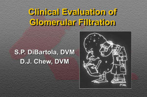 PowerPoint Presentation - Clinical Evaluation of