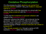 Oxidative Phosphorylation - Study in Universal Science College