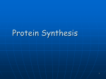 Protein Synthesis - East Aurora Schools