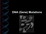 DNA (Gene) Mutations