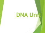 DNA Unit