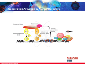 Analytical and Chromatography - Sigma