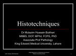 Histotechniques